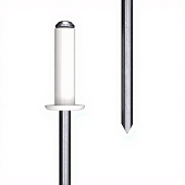 Заклепка 3,2х8 комбинированная (белая) (фото)